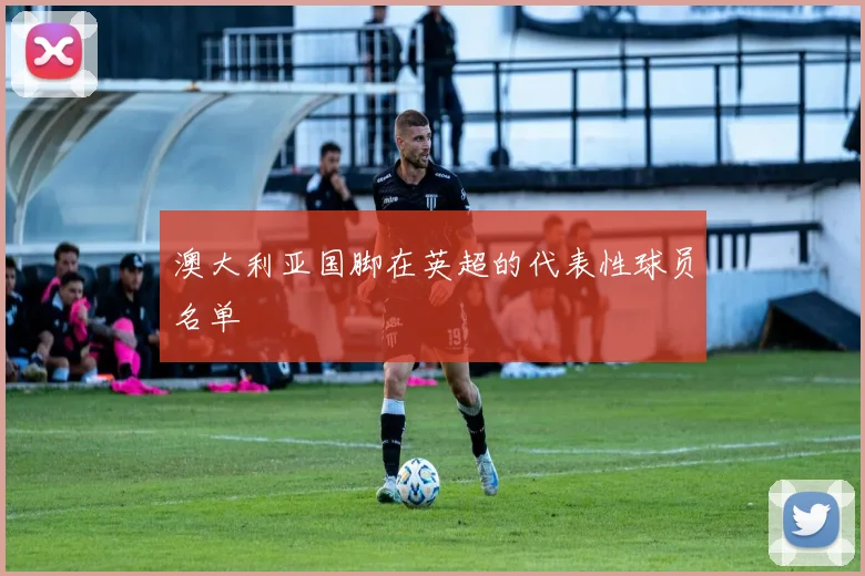 澳大利亚国脚在英超的代表性球员名单